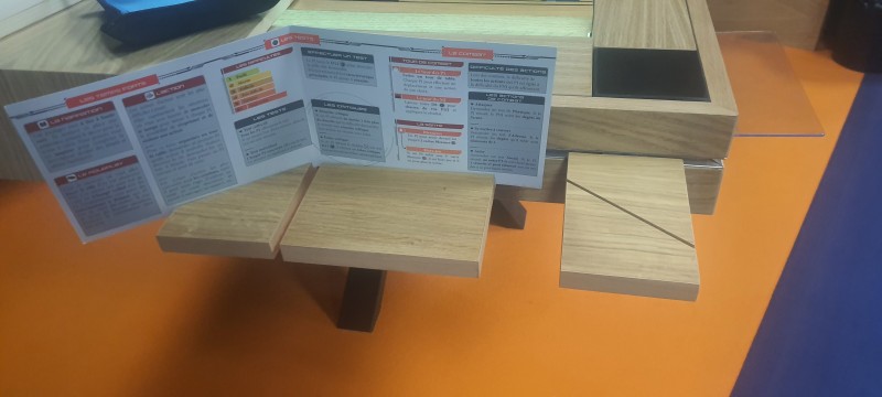 La table de jeux Damys au Festival International des Jeux de Cannes du 22 au 25 février