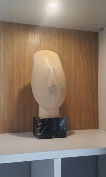Niche gris Angora avec fond chene
